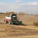 Аренда жилья в Горном Алтае: преимущества и советы images178.jpg